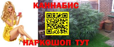 крисы Апрелевка