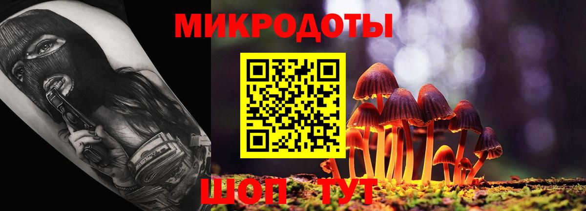 Псилоцибиновые грибы Psilocybine cubensis  Вход с VPN  Псилоцибиновые грибы Psilocybe  Белая Калитва 