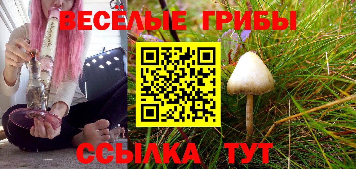 Псилоцибиновые грибы Cubensis Белая Калитва